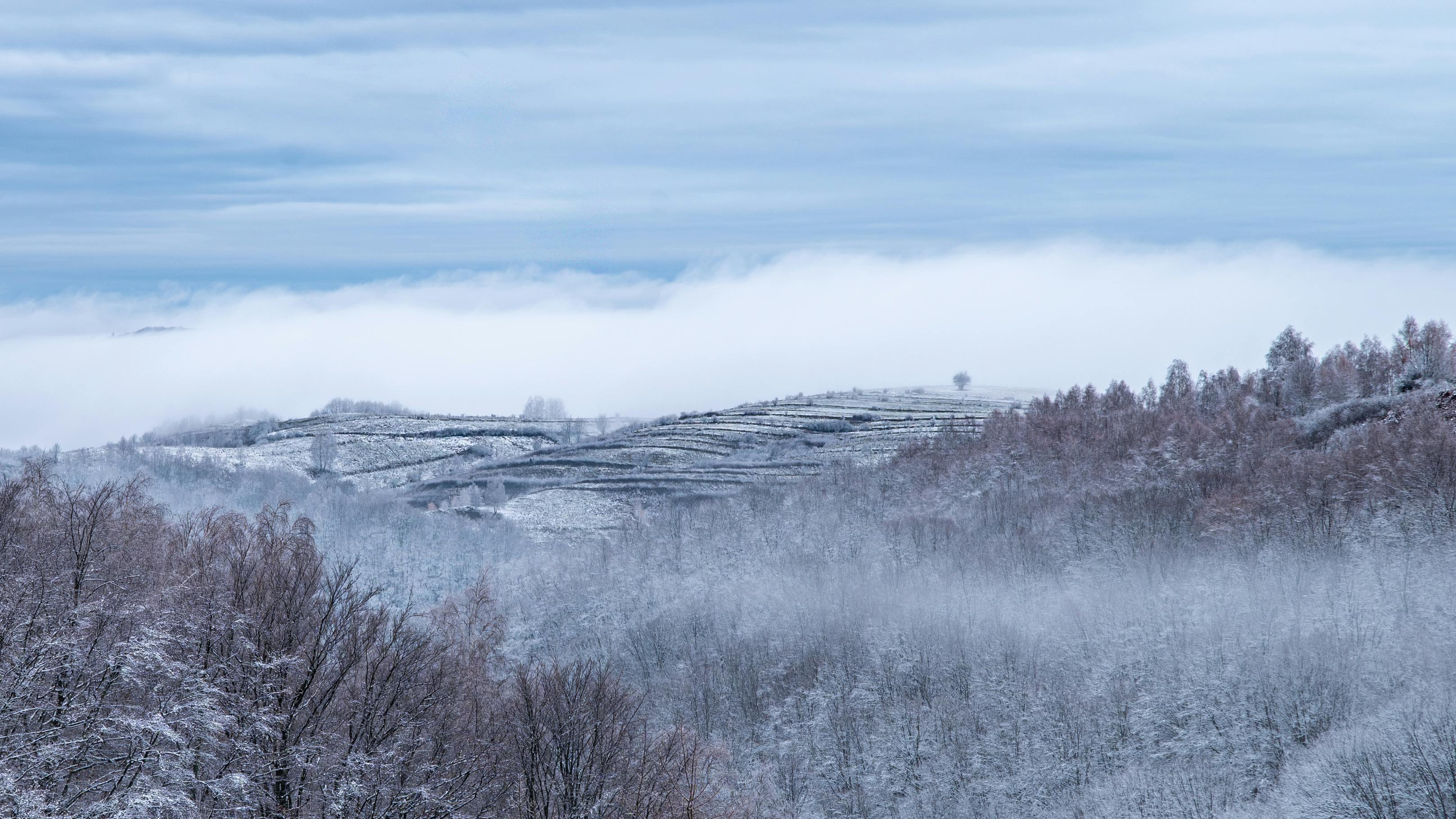 Winter scene